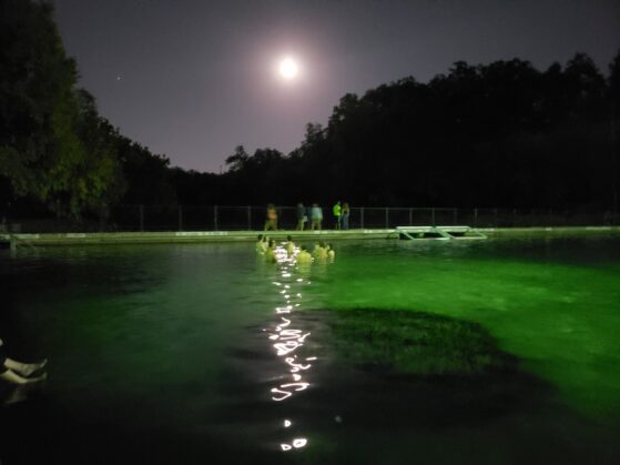 full moon on Barton Springs